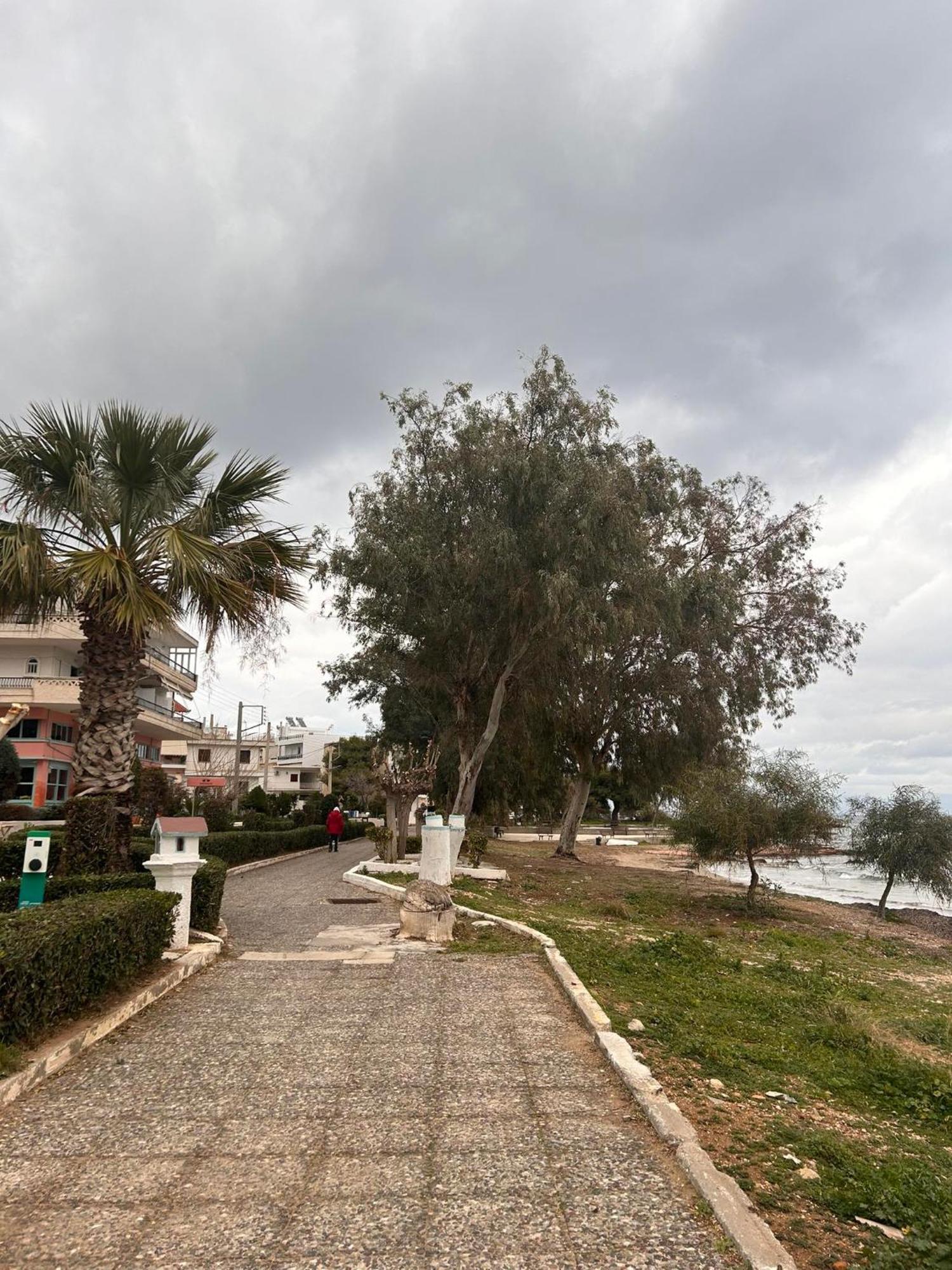 Hana 1 Apartment Artemida (Attica)